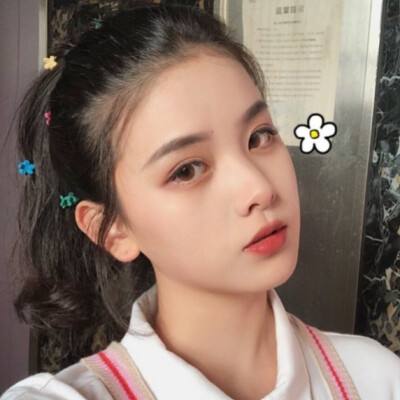 龙吟创世bt版下载